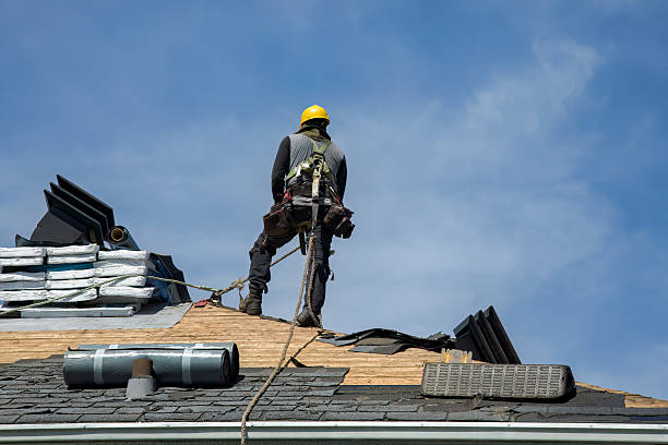 Professional Roof Replacement technician working in Barneveld, WI